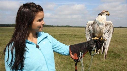 Anna und die wilden Tiere Season 1 Episode 4 - Episode 4