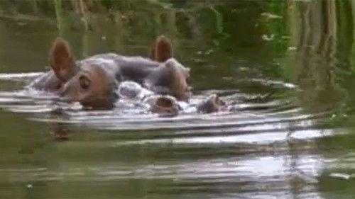 Kouzlo Afriky Season 1 Episode 2 - Episode 2