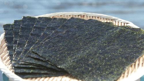 Trails to Oishii Tokyo Season 4 Episode 5 - NORI