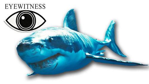Eyewitness Season 1 Episode 12 - Shark