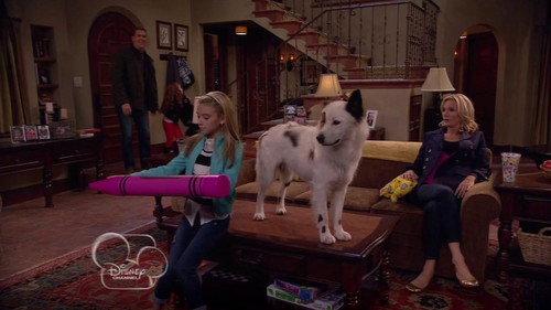 Dog with a Blog Season 1 Episode 11 - Stan-ing Guard