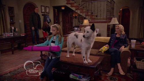 Dog with a Blog Season 1 Episode 11 - Stan-ing Guard