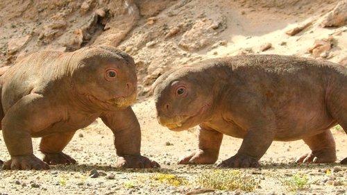 Background image for Chapter 4: In Cold Blood