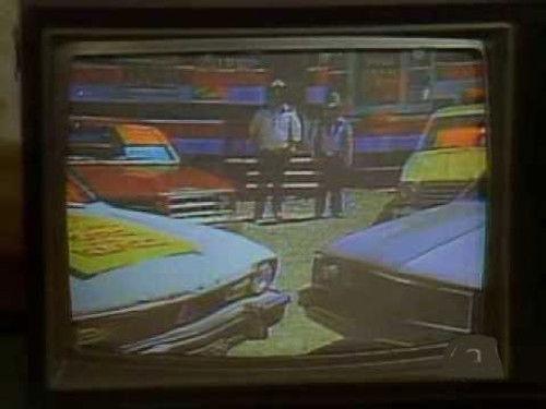 The Littlest Hobo Season 6 Episode 8 - The Good Shepherd