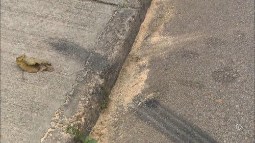 Forensic Heroes III Season 1 Episode 19 - Episode 19