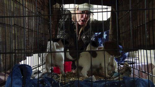 Coronation Street Season 65 Episode 6 - Wednesday, 10th January 2024