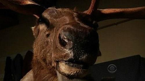 undefined Season 6 Episode 18 - There Will Be Blood... Type B