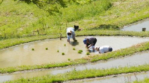 Magical Japanese Season 3 Episode 10 - Mud