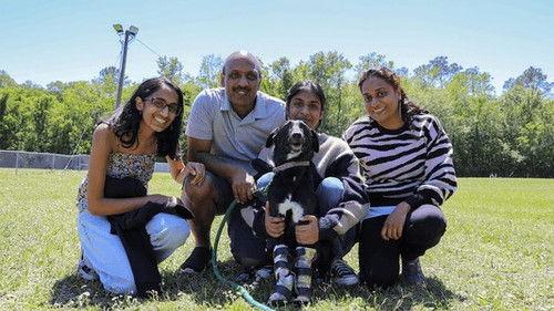 Background image for Kala Me Mine