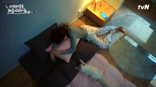 Because This Is My First Life Season 1 Episode 3 - Because This is My First Proposal