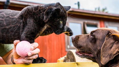 Background image for Episode 2