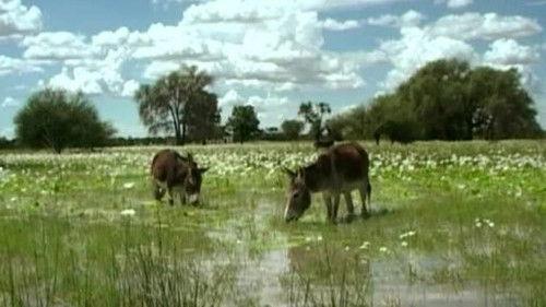 Kouzlo Afriky Season 1 Episode 8 - Episode 8