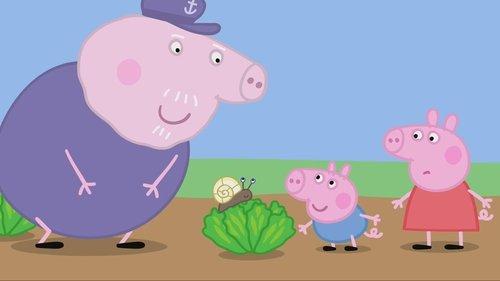 Peppa Pig Season 2 Episode 21 - Tiny Creatures