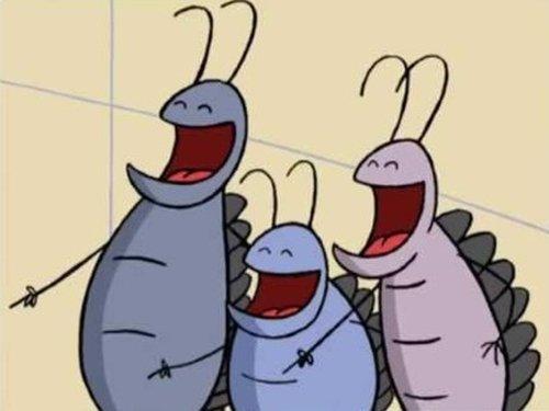 Fly Tales Season 1 Episode 16 - Desperately Seeking Shoes