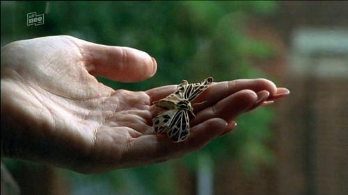 Der letzte Zeuge Season 3 Episode 2 - Ein Mann kommt zurück