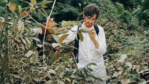 Hamilton's Pharmacopeia Season 2 Episode 3 - Kratom: The Forbidden Leaf