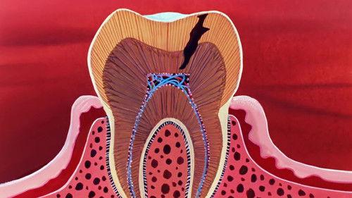 Once Upon a Time... Life Season 1 Episode 14 - The Mouth and the Teeth