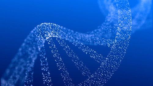 Tech Now Season 1 Episode 6 - Embryo Screening: Designing Life?