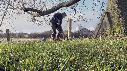 Frank & Kastaniegaarden Season 18 Episode 2 - Episode 2