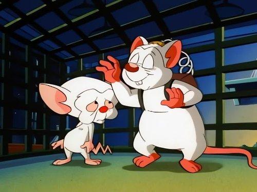 Pinky and the Brain Season 1 Episode 19 - The Visit