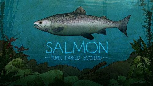 Mortimer & Whitehouse: Gone Fishing Season 3 Episode 1 - Salmon: River Tweed, Scotland