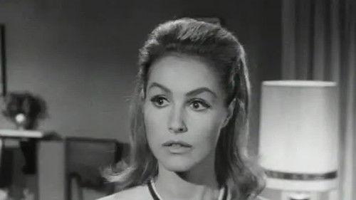 My Living Doll Season 1 Episode 10 - My Robot, the Warden