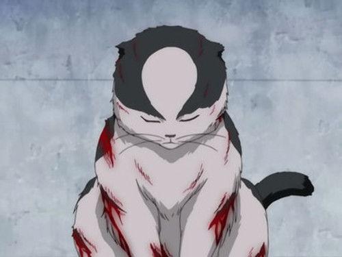 Gintama Season 4 Episode 42 - Kabukicho Stray Cat Blues