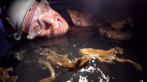 I'm a Celebrity...Get Me Out of Here! Season 16 Episode 13 - Panic Pipeline