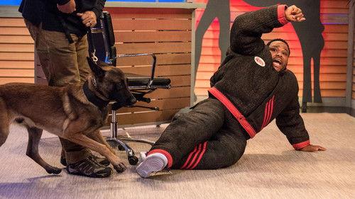 Animal Nation With Anthony Anderson Season 1 Episode 5 - Michaela Watkins; Nicole Sullivan; Attack Dog