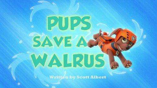 undefined Season 1 Episode 18 - Pups Save a Walrus