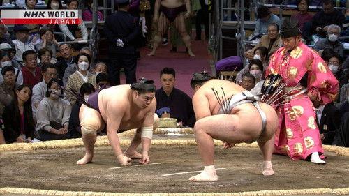 GRAND SUMO Highlights Season 20 Episode 9 - Day 9