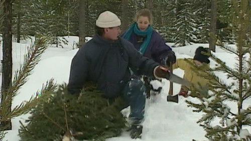 Background image for Julgranen