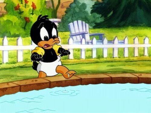 Baby Looney Tunes Season 1 Episode 4 - Like a Duck to Water