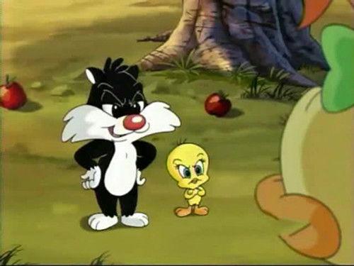 Baby Looney Tunes Season 2 Episode 19 - Wrong!