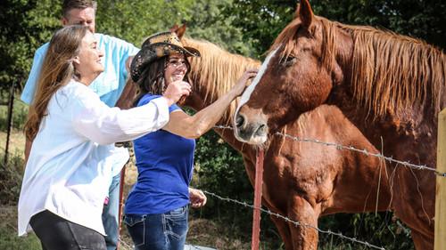 Relative Race Season 1 Episode 5 - Episode 5