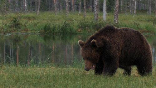 Mountain Men Season 9 Episode 13 - Meltdown: Tornado Alley