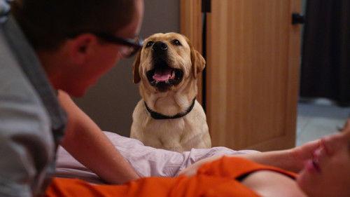 Background image for I Wish the Dog Would Stop Watching Us Have Sex