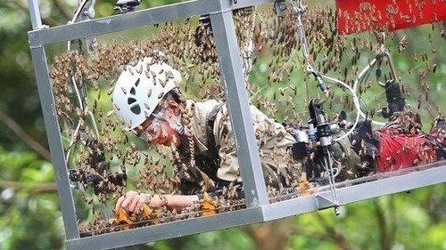 I'm a Celebrity...Get Me Out of Here! Season 13 Episode 5 - Hang Glider from Hell