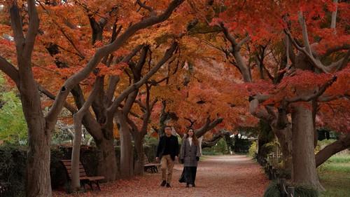 Dive in Tokyo Season 5 Episode 2 - Koishikawa – Historic Charm and Industry Nurtured by Water
