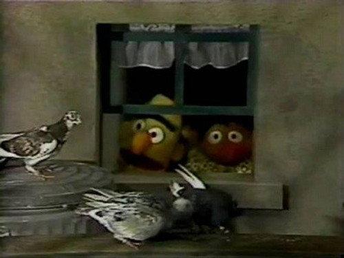 Sesame Street Season 20 Episode 9 - Episode 578