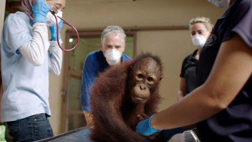 Equator from the Air Season 1 Episode 4 - SE Asia