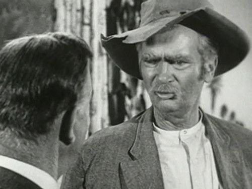 The Beverly Hillbillies Season 1 Episode 27 - Granny's Spring Tonic