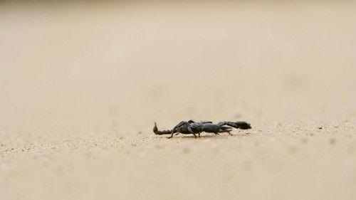 Background image for Episode 17