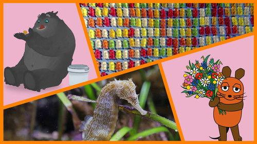 Die Sendung mit der Maus Season 55 Episode 20 - Episode 20