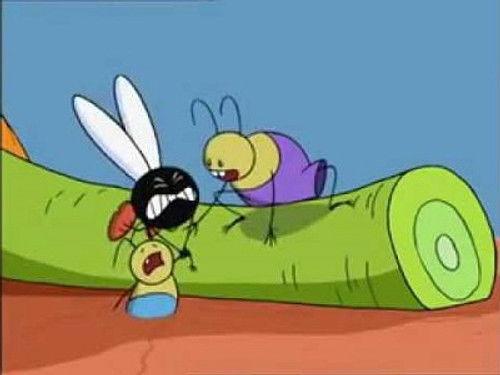 Fly Tales Season 1 Episode 24 - The Beach