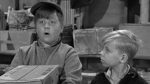 Leave It to Beaver Season 2 Episode 20 - Beaver's Pigeons