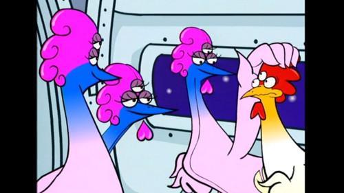 Gino il Pollo perso nella rete Season 1 Episode 24 - Episode 24