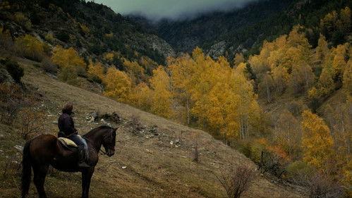 Tor Season 1 Episode 3 - Episode 3