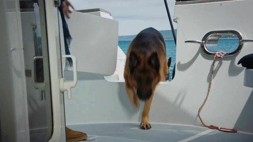 Hudson & Rex Season 4 Episode 3 - Rex Marks the Spot