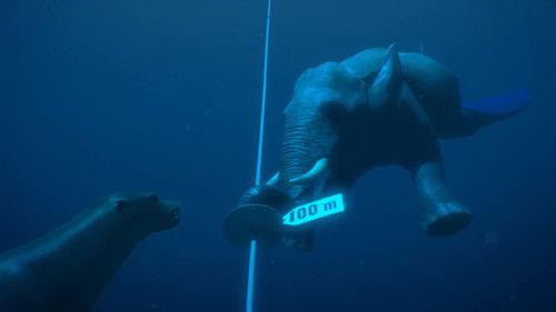 Athleticus Season 4 Episode 1 - Episode 1